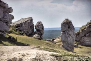 Szlak Orlich Gniazd - Olsztyn